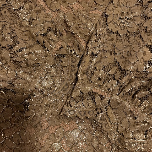 Talbots gold lace top, XL, NWT - Picture 5 of 12